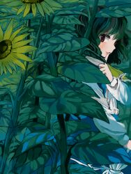  alternate_costume brown_eyes commentary_request female finger_to_mouth flower from_side green_hair hiding kazami_yuuka kinosaki leaf long_sleeves looking_at_viewer profile short_hair solo sunflower touhou 