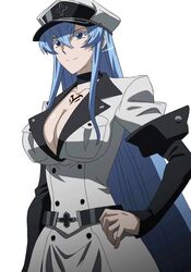  akame_ga_kill! aqua_hair belt blue_eyes blue_hair breasts cleavage esdeath esdese female female general general(shogun) hat highres large_breasts long_hair military military_uniform peaked_cap shogun simple_background solo standing uniform very_long_hair white_background 