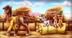  2015 9de-light6 apple_bloom_(mlp) blonde_hair braeburn_(mlp) brown_body brown_fur brown_hair cactus clothing cloud cutie_mark cutie_mark_crusaders_(mlp) dialogue earth_pony english_text equid equine feathered_wings feathers female fence feral friendship_is_magic fur group hair hasbro hat hay hay_bale headgear headwear hi_res horn horse insane landscape lying magic mammal mountain multicolored_hair my_little_pony mythological_creature mythological_equine mythology orange_body orange_feathers orange_fur outside pegasus pink_hair plant pony purple_hair red_hair road rope scootaloo_(mlp) sky smile star sweetie_belle_(mlp) text troubleshoes_(mlp) two_tone_hair unicorn white_body white_fur wings yellow_body yellow_fur 