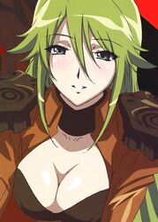  artist_request blush breasts cleavage female green_eyes green_hair large_breasts long_hair pheles shakugan_no_shana smile solo 