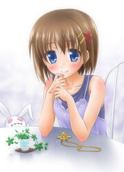  bare_arms bare_shoulders blue_eyes blush brown_hair chair commentary_request female hair_ornament jewelry looking_at_viewer lyrical_nanoha mahou_shoujo_lyrical_nanoha mahou_shoujo_lyrical_nanoha_a&#039;s necklace noroi_usagi photoshop_(medium) plant schwertkreuz schwertkreuz_(standby_form) shinozuki_takumi short_hair sitting smile solo stuffed_animal stuffed_rabbit stuffed_toy upper_body x_hair_ornament yagami_hayate 