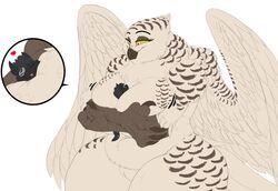  2022 anthro avian beak between_breasts big_breasts bird body_between_breasts breasts brown_beak brown_body brown_claws brown_eyelids brown_feathers canid canine claws duo feathers female female_anthro heartman98 hi_res horned_owl hug male male/female male_anthro mammal micro micro_between_breasts nude owl simple_background snowy_owl snowy_owl_(unknown12x) talon_hands true_owl unknown12x white_background white_body white_feathers yellow_eyes yellow_sclera 