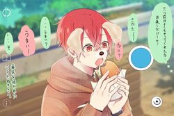  1boy aho_no_sakata animal_ears asamoya_1225 bench brown_hoodie burger dog_ears dog_nose eating fake_phone_screenshot fake_screenshot food highres hood hoodie male_focus pov protected_link red_eyes red_hair simple_background solo urashimasakatasen utaite 