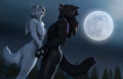  14:9 3d_(artwork) anthro black_body black_fur black_sclera canid canine canis closed_eyes clothed clothing digital_media_(artwork) duo female full_moon fur hand_holding hi_res howl looking_at_another male male/female mammal moon night outside partially_clothed petruz_(copyright) plant smile source_filmmaker_(artwork) tree white_body white_fur wolf wolf_(petruz) wolfikous 