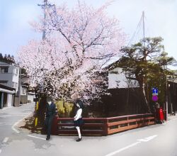  1boy black_hair brown_hair building cherry_blossoms chitanda_eru day female fence gakuran hands_in_pockets hyouka in-universe_location kamiyama_high_school_uniform_(hyouka) kneehighs long_hair neckerchief no_parking_sign open_mouth oreki_houtarou outdoors power_lines profile real_world_location road road_sign school_uniform serafuku shoes sign skirt sky socks street takanashi_akihito tree white_legwear 