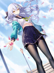  :o black_bow black_pantyhose black_sailor_collar blue_jacket blue_skirt blue_sky bow breasts brown_eyes cloud cloudy_sky commentary_request day dutch_angle feet_out_of_frame female floating_hair green_bow grey_hair hair_between_eyes hairbow highres jacket lamppost legs long_hair long_sleeves looking_at_viewer midriff_peek navel open_clothes open_jacket original outdoors pantyhose parted_lips petals pleated_skirt puffy_long_sleeves puffy_sleeves ririko_(zhuoyandesailaer) saegusa_riko sailor_collar shirt skirt sky small_breasts solo standing white_shirt 