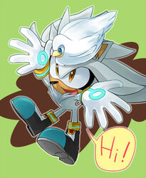  2012 ambiguous_gender anthro avian bird blue_eyes boots carrying_another clothing columbid dialogue duo english_text eulipotyphlan feathers feral footwear fur gloves green_background grey_body grey_fur handwear hedgehog looking_up male mammal on_head pigeon root8beat sega silver_the_hedgehog simple_background smile sonic_the_hedgehog_(series) speech_bubble text white_body white_feathers white_fur yellow_eyes 