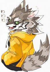  absurd_res ao_gravity big_ears big_tail canid canine canis clothing countershading fur green_eyes grey_body grey_fur hairy hi_res hoodie jackal lifewonders male mammal rear_view seth_(tas) shy simple_background solo tail tokyo_afterschool_summoners topwear white_background yellow_clothing 