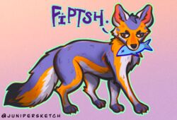  canid canine colorful_theme ear_tuft english_text fish fluffy fox fur gradient_background junipersketch mammal marine orange_body orange_fur purple_body purple_fur silly simple_background text toony tuft white_body white_fur 