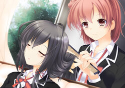  2girls black_hair jpeg_artifacts kuruhoro long_hair pink_eyes pink_hair seifuku sleeping tree yahari_ore_no_seishun_love_come_wa_machigatteiru. yuigahama_yui yukinoshita_yukino 