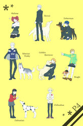  4boys 4girls amagi_yukiko animal bad_id bad_pixiv_id beagle black_hair blonde_hair blue_eyes blue_hair borzoi brown_eyes brown_hair cabbie_hat canine chihuahua dalmatian dobermann golden_retriever grey_eyes grey_hair hanamura_yousuke hat highres husky kujikawa_rise kuma_(persona_4) long_hair maltese multiple_boys multiple_girls narukami_yuu pantyhose persona persona_4 pink_hair satonaka_chie sen_nai shirogane_naoto short_hair tatsumi_kanji white_hair 