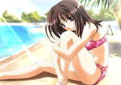  beach bikini brown_eyes brown_hair day female hugging_own_legs imageboard_desourced kashima_neo memories_off non-web_source omoide_ni_kawaru_kimi_memories_off outdoors pink_bikini short_hair solo swimsuit 