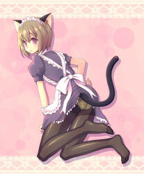  animal_ears apron ass black_pantyhose blush brown_hair cat_ears cat_tail commentary_request crotch_seam feet female kimarin legs maid maid_headdress no_shoes original panties panties_under_pantyhose pantyhose red_eyes short_hair soles solo tail underwear uniform 