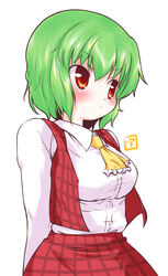  ascot blush breasts commentary_request dress_shirt female green_hair highres kazami_yuuka long_sleeves medium_breasts plaid plaid_skirt plaid_vest pout red_eyes red_skirt shirt skirt skirt_set solo touhou uho_(uhoyoshi-o) vest 