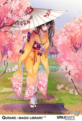  black_hair cherry_blossoms commentary_request ezu_(leejiyu) female grass hair_ornament holding japanese_clothes kimono korean_commentary long_hair looking_at_viewer oil-paper_umbrella outdoors photoshop_(medium) pink_eyes qurare_magic_library solo torii umbrella 