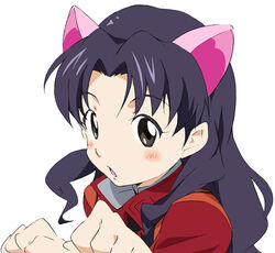  :o animal_ears black_eyes black_hair blush cat_ears coat commentary cosplay female hummy_(suite_precure) hummy_(suite_precure)_(cosplay) katsuragi_misato long_hair mitsuishi_kotono neon_genesis_evangelion open_mouth parted_bangs precure solo suite_precure umanosuke upper_body voice_actor_connection 