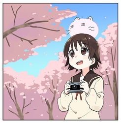  :d =_= animal animal_on_head blue_sky border brown_eyes brown_hair camera cherry_blossoms commentary_request day dot_nose female from_side hands_up holding holding_camera long_sleeves looking_away looking_up momoneko-sama neck_ribbon on_head open_mouth outdoors petals red_ribbon ribbon rollei_35 sailor_collar sawatari_fuu school_uniform serafuku short_hair sky smile solo tamayura tareme teeth tonmoh tree upper_body upper_teeth_only white_border wind 