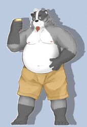  2016 andikapatok anthro badger black_body black_fur bottomwear cellphone clothing electronics fur grey_body grey_fur hi_res humanoid_hands kemono male mammal mustelid musteline overweight overweight_anthro overweight_male phone shorts simple_background smartphone solo white_body white_fur 