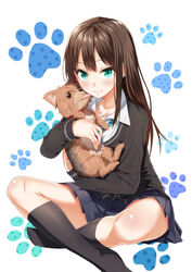  animal bad_id bad_pixiv_id black_socks blush brown_hair canine cardigan commentary_request earrings female green_eyes hanako_(idolmaster) heirou idolmaster idolmaster_cinderella_girls indian_style jewelry kneehighs long_hair looking_at_viewer necklace necktie photoshop_(medium) school_uniform shibuya_rin sitting skirt smile socks solo yorkshire_terrier 