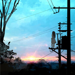  bird black_hair copyright_request dark dress female from_behind kuma_panda long_hair on_top_of_pole outdoors power_lines scenery sky solo sunset transformer tree utility_pole 