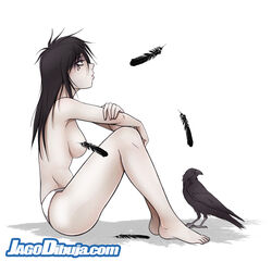  barefoot bird black_feathers black_hair breasts convenient_censoring death_of_the_endless expressionless feathers female from_side highres jago_dibuja knees_up long_hair looking_afar looking_up medium_breasts panties photoshop_(medium) profile simple_background sitting solo the_sandman_(dc) topless underwear underwear_only watermark web_address white_background white_panties 