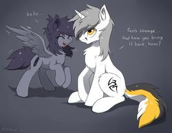  2017 closed_eyes cutie_mark duo english_text equid equine fan_character female feral fur grey_background grey_body grey_fur grey_hair hair hasbro hioshiru horn kate_(hioshiru) kej_(kejifox) male mammal my_little_pony mythological_creature mythological_equine mythology pegasus simple_background smile text unicorn white_body white_fur wings 