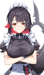  black_hair breasts commentary crossed_arms ellen_joe female fins fish_tail highres large_breasts maid maid_headdress mole mole_under_eye multicolored_hair red_eyes red_hair shark_girl shark_tail short_hair simple_background solo symbol-only_commentary tail two-tone_hair uuc_(yuyudanngo) white_background zenless_zone_zero 