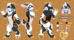  anthro bovid caprine collar cowbell domestic_goat english_text felisrandomis female fingers goat hi_res hooved_fingers hooves horn mammal model_sheet plantigrade pygmy_goat solo text thomasin 