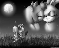  absurd_res amy_rose anthro blaze_the_cat duo eulipotyphlan female female/female grass happy hedgehog hi_res holidays joy_(disambiguation) juanonyx light love mammal monochrome moon moonlight night plant romantic sega sonic_the_hedgehog_(series) star tale valentine&#039;s_day yumi_darkwatch 