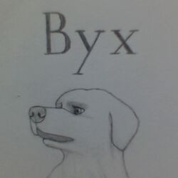  animal_humanoid anthro bust_portrait byx_(character) canid canid_humanoid canine canine_humanoid dairne_(species) dog_humanoid endling_the_last_(book) female floppy_ears graphite_(artwork) humanoid looking_away low_res mammal mammal_humanoid monochrome oliverthedriox open_mouth pen_(artwork) pencil_(artwork) portrait snout solo standing staring_off traditional_media_(artwork) worried worried_look 