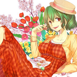  :d adapted_costume arm_behind_back bad_id bad_pixiv_id cardigan cherry_blossoms contemporary crossed_legs dress female fingernails flower food from_side green_hair hand_up hat holding holding_food kazami_yuuka long_dress long_fingernails long_sleeves looking_at_viewer looking_to_the_side lying macaron napkin on_back on_ground open_mouth orange_eyes pastry petals pink_flower pink_petals pink_tulip plaid plaid_dress porkpie_hat red_dress red_eyes red_flower red_tulip short_hair smile solo tareme teeth touhou tulip upper_teeth_only yellow_cardigan yellow_flower zanunoneko 