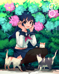  absurdres bad_id bad_pixiv_id black_footwear black_hair black_pantyhose blue_skirt blush calico commentary day english_commentary feline female flower highres hydrangea looking_away neckerchief open_mouth original outdoors pantyhose pleated_skirt red_neckerchief school_uniform short_hair skirt smile soar solo squatting 