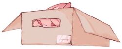  alpha_channel ambiguous_gender aster_(nu:_carnival) bat box cardboard cardboard_box container feral fur hair hair_over_eye in_box in_container kemono loyaldis mammal nu:_carnival one_eye_obstructed pink_body pink_fur red_eyes solo text toony 