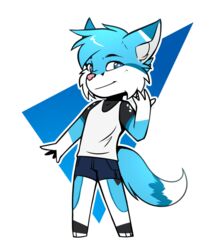  anthro biped black_body black_fur blue_body blue_ears blue_eyes blue_fur blue_hair blue_tail bottomwear canid canine cheek_tuft chibi clothing digital_media_(artwork) dipstick_ears dipstick_tail ear_markings facial_tuft fluffy fluffy_tail fox full-length_portrait fur gloves_(marking) hair leg_markings long_tail looking_at_viewer male mammal markings multicolored_body multicolored_ears multicolored_fur multicolored_tail pink_nose portrait shirt shorts simple_background smile smirk socks_(marking) solo standing tail tail_markings tank_top topwear tuft white_background white_body white_fur white_tail white_tail_tip zeekzag 