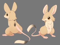  alternate_version_at_paywall alternate_version_at_source anthro ass big_butt big_ears breasts brown_eyes digitigrade dipodid feet female front_and_back fur grey_background hair hi_res jerboa kemono long_tail looking_aside mammal model_sheet nude open_mouth open_smile paws ponytail rodent semi-anthro simple_background small_breasts smile solo tail tan_body tan_fur ukan_muri 