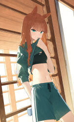  absurdres alternate_costume animal_ears black_sports_bra breasts clothes_lift female green_shirt green_shorts highres horse_ears horse_girl indoors long_hair looking_at_viewer navel nike_(company) ningen_gokko orange_hair shirt shirt_lift shorts silence_suzuka_(umamusume) small_breasts solo sports_bra standing stomach umamusume 