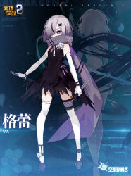  ankle_flower bare_shoulders benghuai_xueyuan black_dress black_footwear breasts bullet copyright_name covered_mouth dress dress_flower elbow_gloves female flower full_body gloves grey_(benghuai_xueyuan) grey_eyes grey_hair hair_ornament hairclip holding holding_knife honkai_(series) knife logo official_art pisces_(benghuai_xueyuan) purple_scarf scarf second-party_source shoes solo thighhighs white_flower white_gloves white_thighhighs 