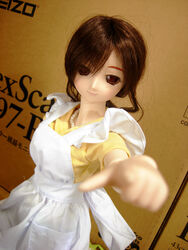  doll dollfie niizm tagme 