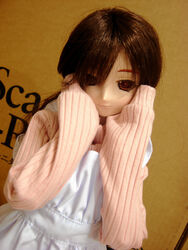  doll dollfie niizm tagme 