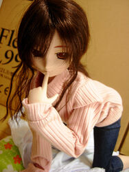  doll dollfie niizm tagme 