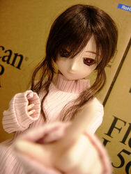  doll dollfie niizm tagme 