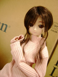  doll dollfie niizm tagme 