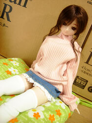  doll dollfie niizm tagme 