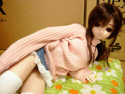  doll dollfie niizm tagme 