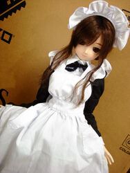  doll dollfie maid niizm tagme 