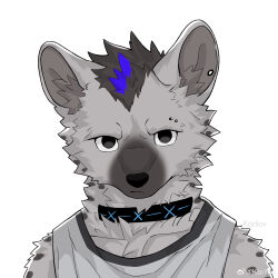  2024 absurd_res anthro arknights black_hair blue_hair clothing collar ear_piercing eyebrow_piercing facial_piercing fur grey_body grey_fur hair hi_res hyena hypergryph korilov looking_at_viewer male mammal markings piercing simple_background solo spot_(arknights) spots spotted_body spotted_fur spotted_hyena studio_montagne topwear 