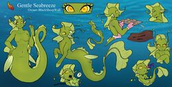  absurd_res anthro digital_media_(artwork) english_text female feral fish hi_res marine merfolk model_sheet natt333 scales seapony_(mlp) signature solo split_form text 