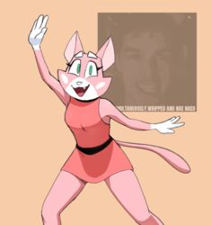  anthro belt clothing collar dancing domestic_cat dress felid feline felis female green_eyes hi_res hitsuji looking_at_viewer mammal matpat nae_nae_dance shima_luan simple_background solo super_planet_dolan white_hands 