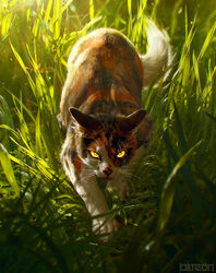  akreon ambiguous_gender black_body black_fur book_cover calico_cat cover crouching detailed detailed_background digital_media_(artwork) digital_painting_(artwork) domestic_cat feet felid feline felis female_(lore) feral fur grass light lighting looking_at_viewer mammal mapleshade_(warriors) multicolored_body multicolored_fur official_art orange_body orange_fur outside paws plant scar shaded solo tail unavailable_at_source warriors_(book_series) watermark whiskers white_body white_fur yellow_eyes 