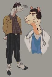  anthro camelid doctor hi_res lips llama male mammal model_sheet thick_bottom_lip videonastyz 